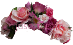 花冠, PNG