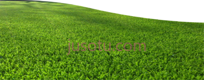 草,grass PNG
