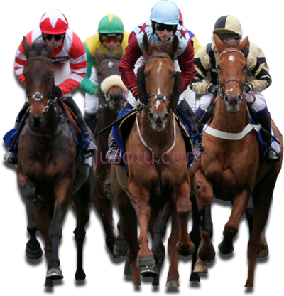 赛马,horse racing betting explained PNG