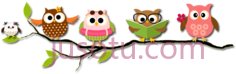 猫头鹰读书,卡通,动画 PNG