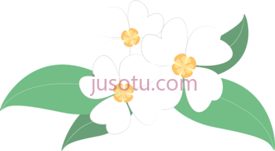 白色花朵,white flower bunga gambar melati vektor PNG