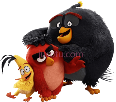 愤怒的小鸟,angry birds movie trio wallpaper PNG