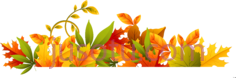 秋叶PNG