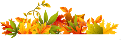 秋叶,fall autum autumn leaves border PNG