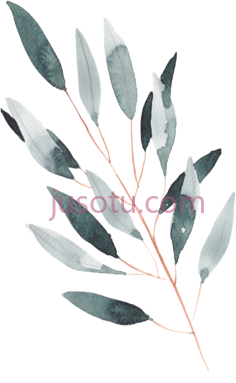 叶子水彩PNG