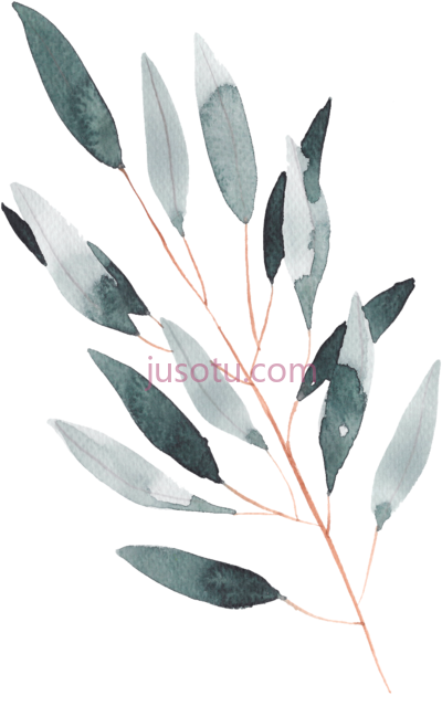 叶子水彩,hand painted a leaf watercolor PNG