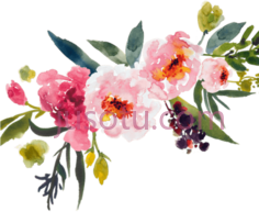 水彩花束, PNG