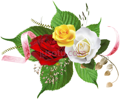 玫瑰花,bunga mawar PNG