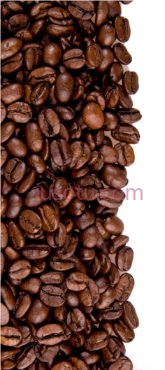 咖啡豆PNG