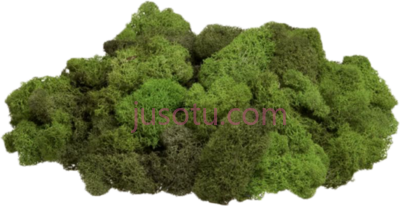 苔藓岩石,rock covered in moss PNG
