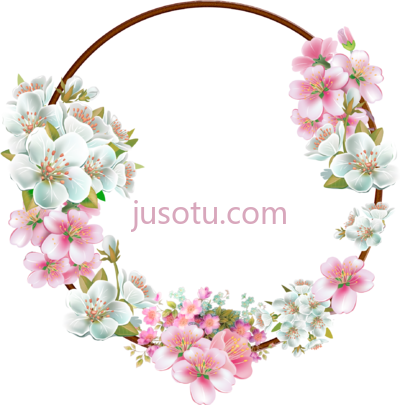 花边框,flower border frame floral PNG