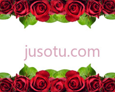红玫瑰PNG