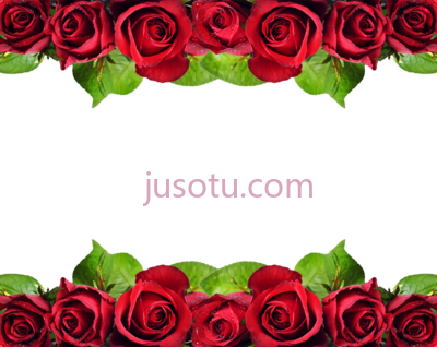 红玫瑰,red roses border PNG