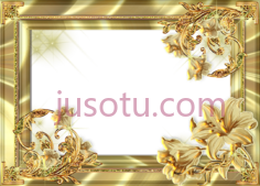 金花框PNG