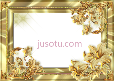 金花框,gold flower frame PNG