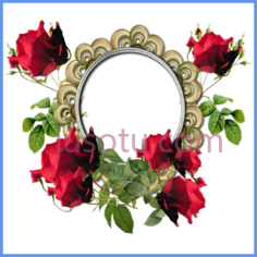 玫瑰花边框PNG