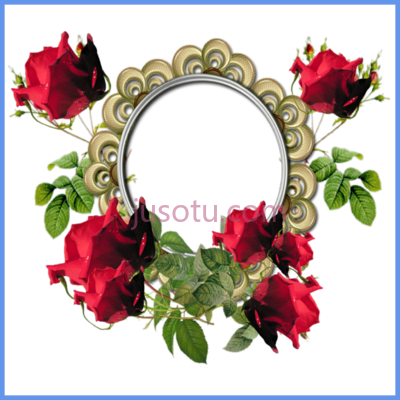玫瑰花边框,incredible pink style border frame PNG