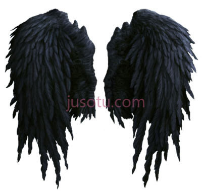 天使翅膀,black angel wings by shadow PNG