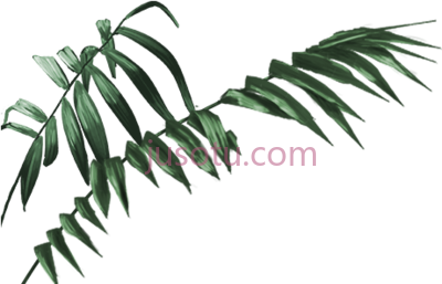 丛林树叶,jungle leaves PNG