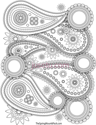 曼荼罗,mandala adult coloring page and spring PNG