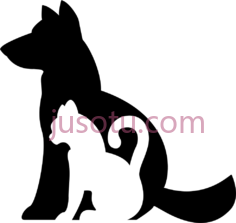 狗猫,图标 PNG