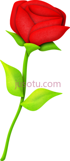 红花, PNG