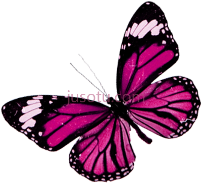 蝴蝶,mariposas publicado por marina en PNG