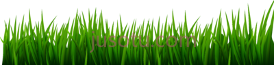 草地,line grass PNG