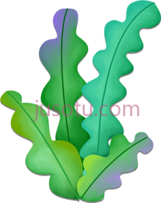 卡通海藻PNG