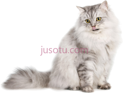 浅色猫,cute cat light colored PNG