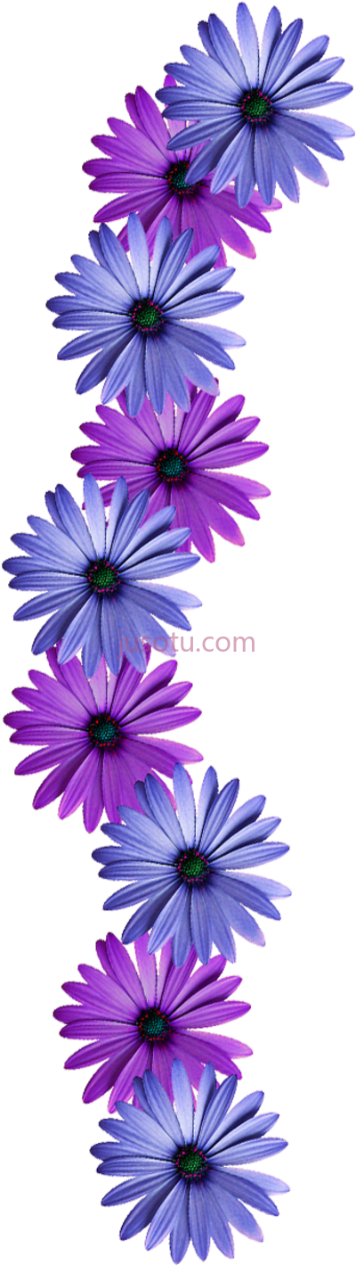 紫花筒,purple flower PNG