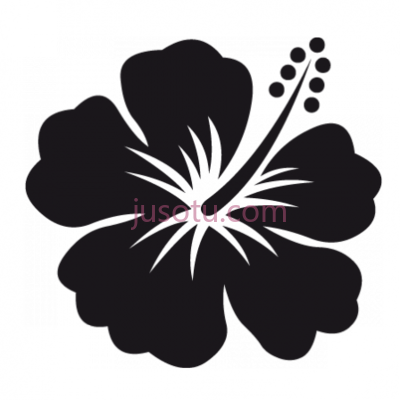 芙蓉花,fleur hibiscus PNG