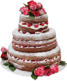 生日快乐巧克力蛋糕PNG