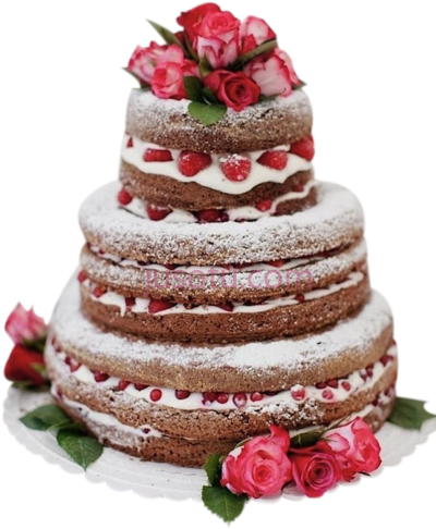 生日快乐巧克力蛋糕,happy birthday cake pastel de chocolate sin cubierta PNG