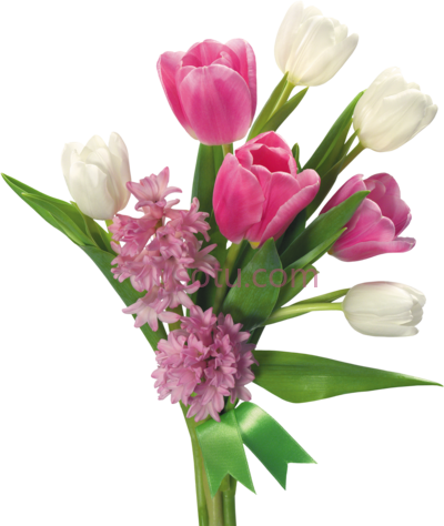 粉红玫瑰花束,pink roses flowers bouquet PNG