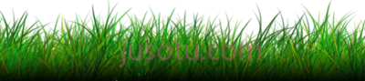 草,grass PNG