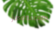 香蕉叶,植物,植被,草木 PNG