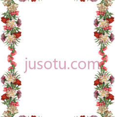 花边框PNG
