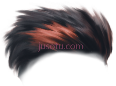 头发,independence day hair PNG