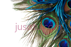 孔雀羽毛, PNG