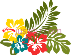 夏威夷花PNG