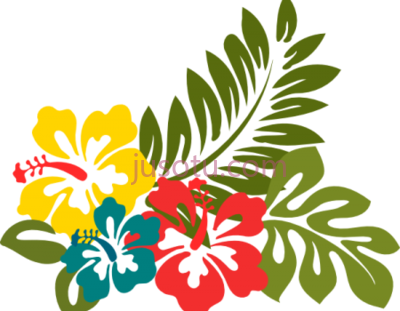 夏威夷花,dibujo de flor hawaiana PNG