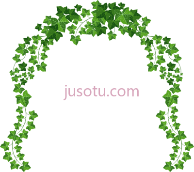 藤蔓,vine PNG