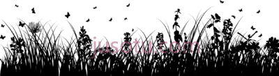 花草,privacy policy silhouette grass flowers PNG