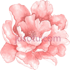 水彩花, PNG