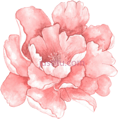 水彩花,watercolour flower PNG