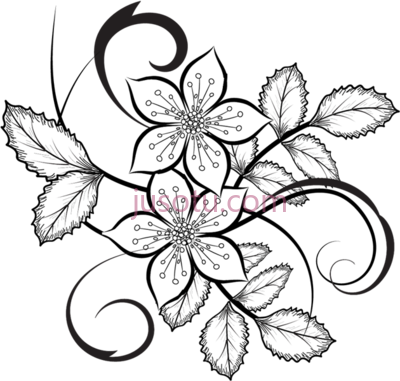 花卉,flowers flora PNG