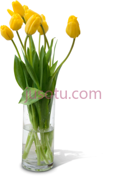 花瓶PNG