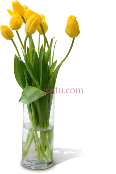 花瓶,flower vase PNG