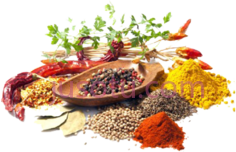 香料香草PNG